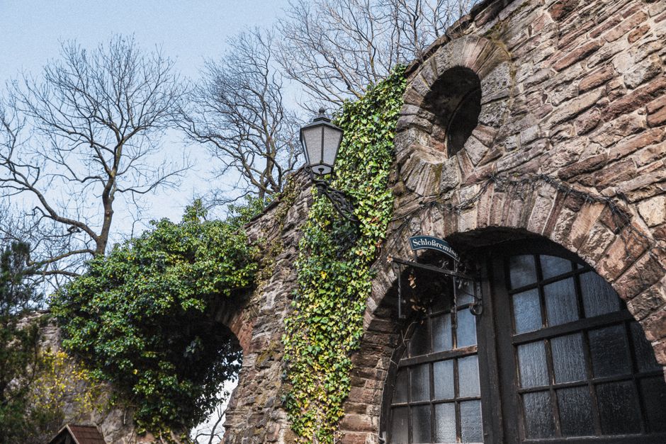 A picturesque stone wall covered in ivy with gothic windows in Wernigerode, Germany.